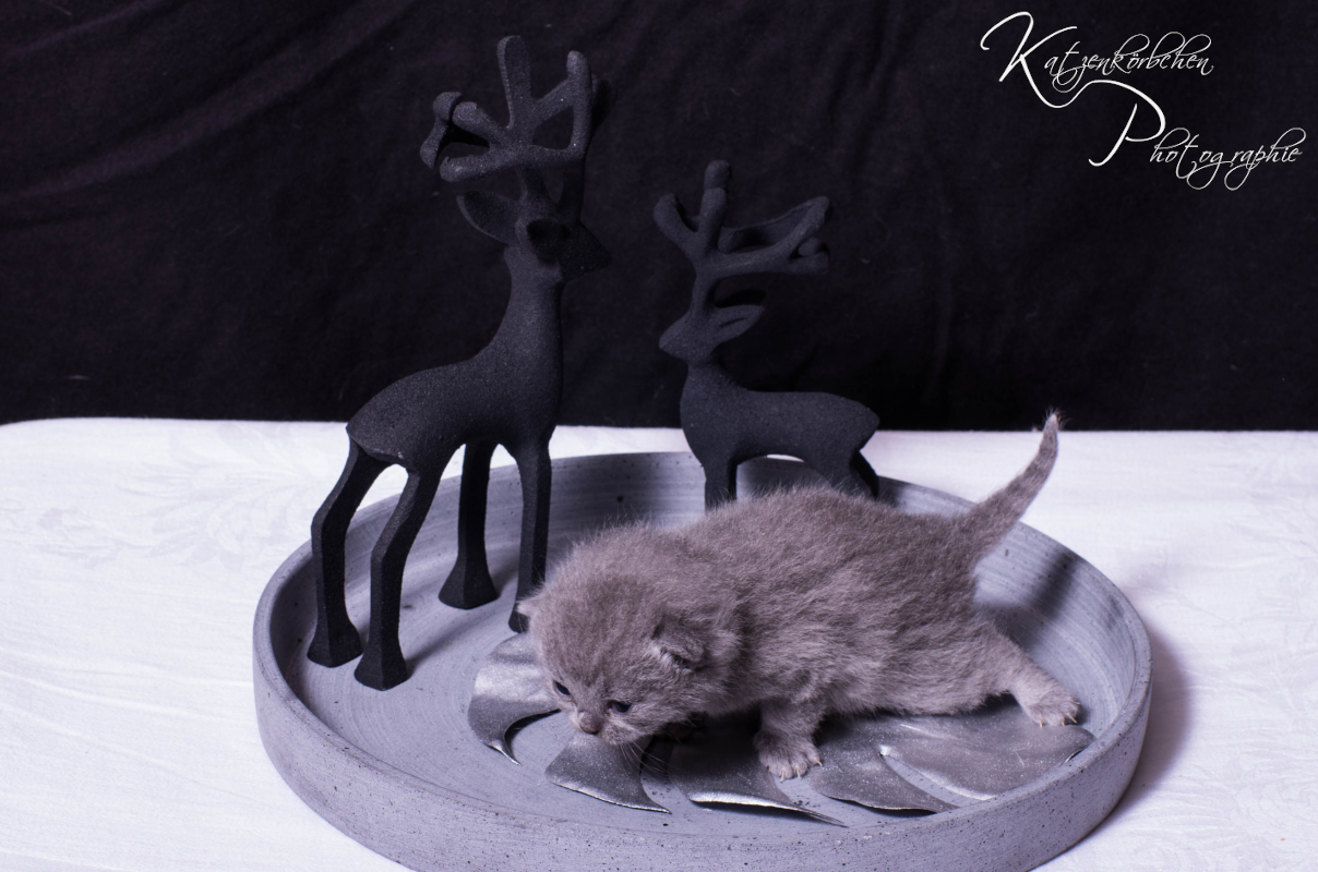 Grünbändchen 2 Wochen