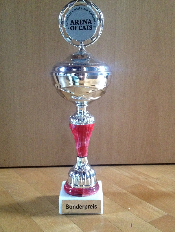 Pokal