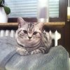 amy9