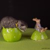 Kitten &raquo; B-Wurf &raquo; Berlioz