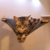 Kitten &raquo; E-Wurf &raquo; E-Wurf zuhause &raquo; Eve
