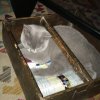 Kitten &raquo; F-Wurf &raquo; F-Wurf zuhause &raquo; Feliz