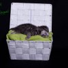 flieder_7t