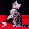 gruen_11w